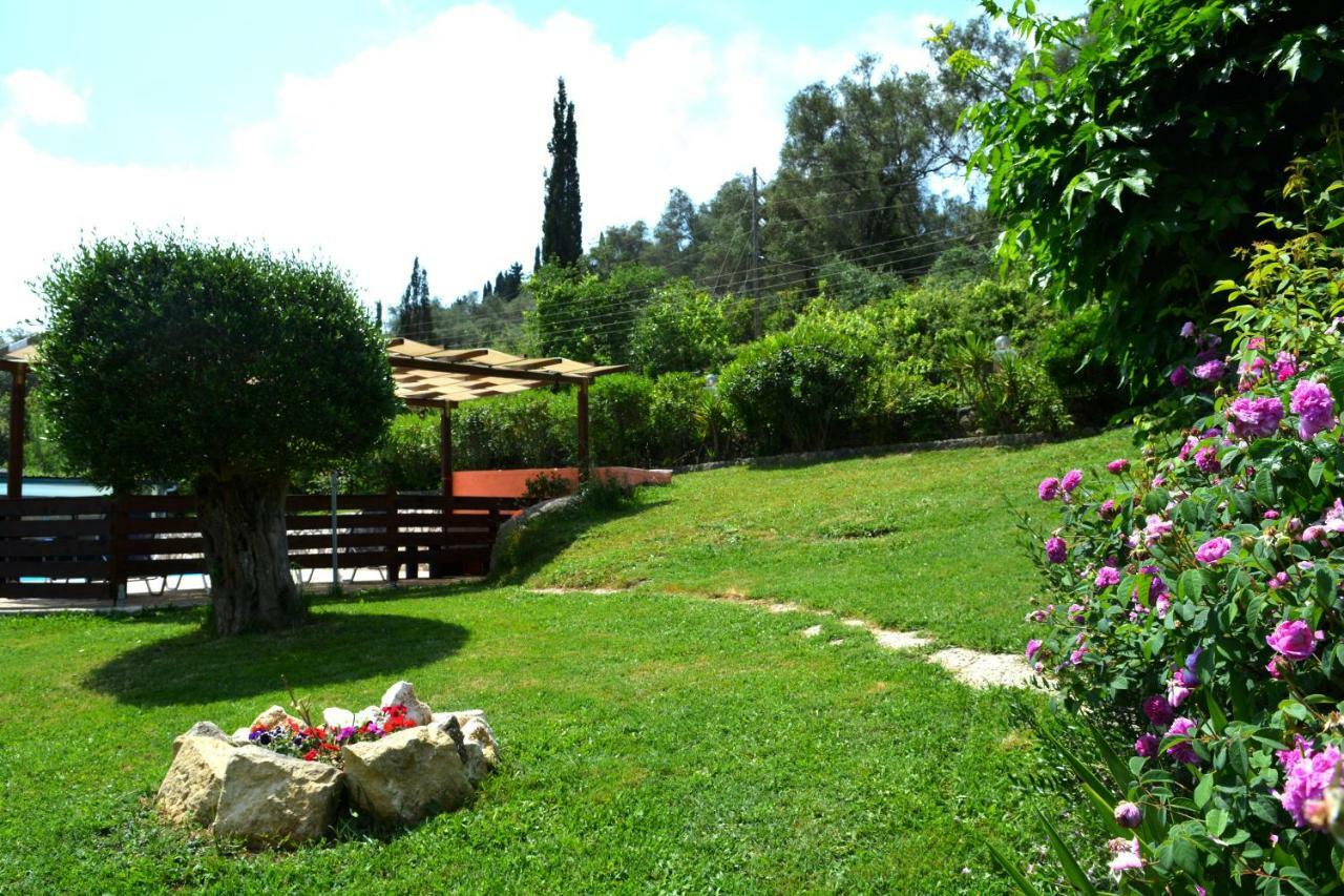 Apartments Despina Apartment *